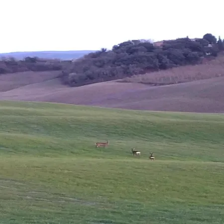 بيت للعطل Lovely In Tuscany With Panoramic View كاستيلْنْوافو بيراردين